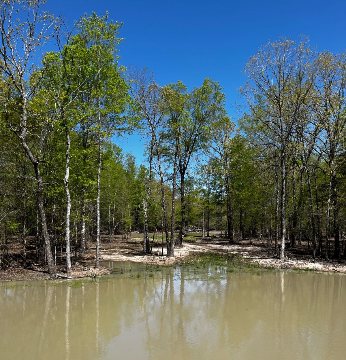 Broken Stone Ranch (20)