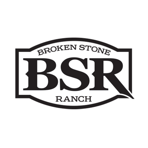 Bsr Favicon