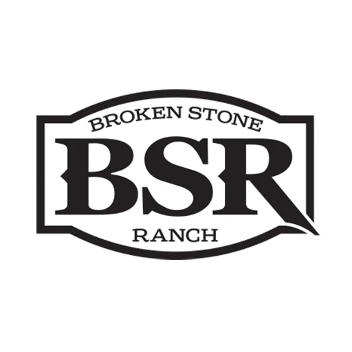Bsr Favicon